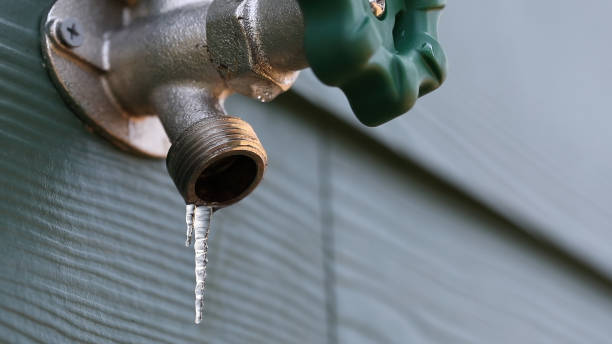 Best Local Plumber Services  in Copiague, NY
